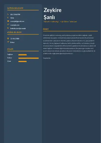 Hasta ve Yaşlı Bakım Elemanı Cv Örnekleri cv indir